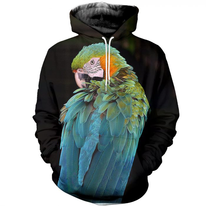 Limited Edition Hoodie 1 Limited Edition Hoodie